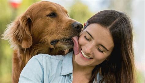 mujer folla con perro|Chica cogida por un perro